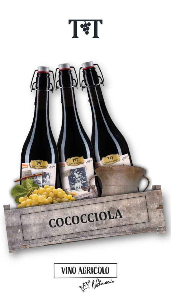 Cococciola Terre di Chieti IGP