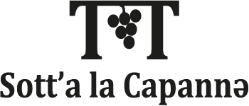 logo main
