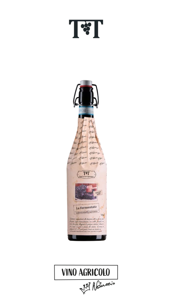 Lu Fermentatə <br>Montepulciano d'Abruzzo DOP