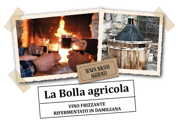 La Bolla Agricola <br>Vino Frizzante Malvasia-Cococciola