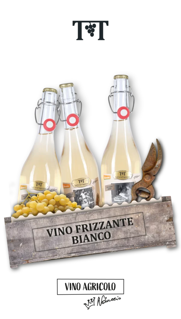 Vino Frizzante Bianco