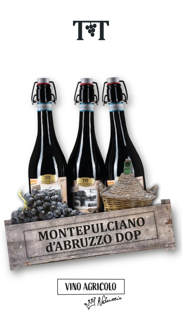 Montepulciano d'Abruzzo DOP